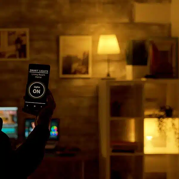 Smart Home Systems in Spanaway